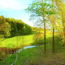Tema: Naturen i maj